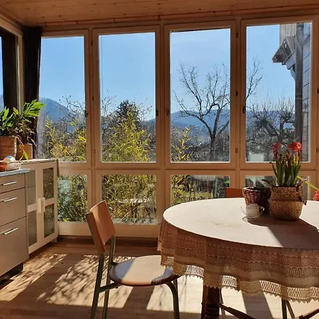 Garden Oasis In Bern Liebefeld